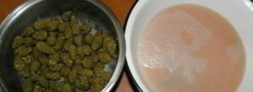 варенье из сосновой шишки. Шаг 2