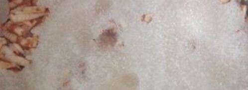 яблочное варенье. Шаг 3