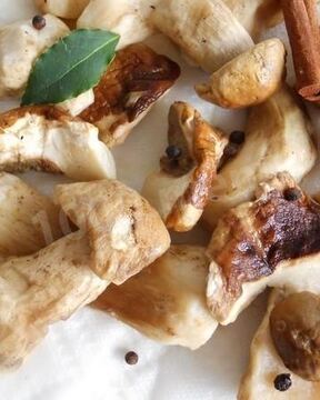 Заготовка грибов замороженных на зиму