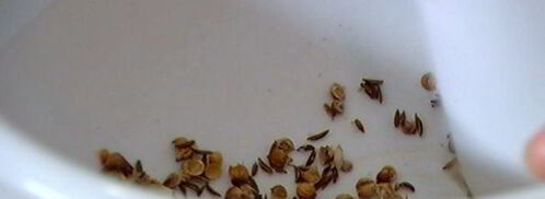 нутбургеры. Шаг 3