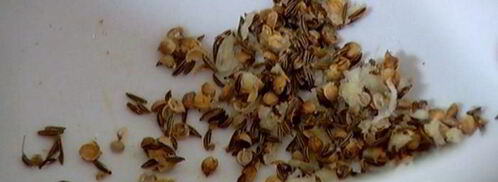 нутбургеры. Шаг 6