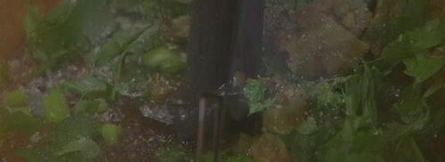 рыбный гамбургер с манго-майонезом. Шаг 4