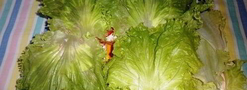 бутерброды футбольный мяч. Шаг 4