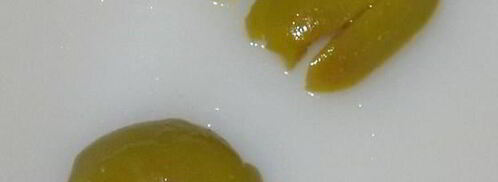 бутерброды кот и пес. Шаг 7