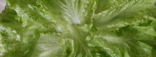 эстонский бутерброд. Шаг 5