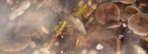 консервированная грибная икра. Шаг 2