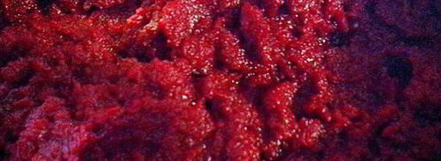 свекольная икра. Шаг 6