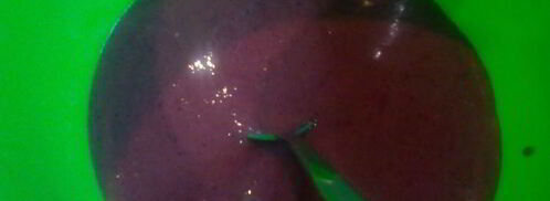 французский паштет. Шаг 3