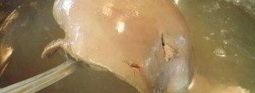 печеночный рулет. Шаг 2