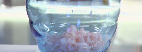 роллы из гречневых блинов с креветками. Шаг 5