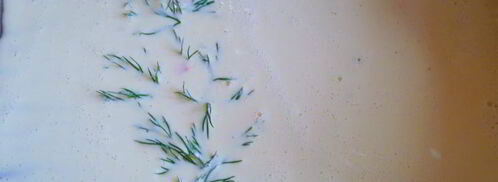 нежнейший рулет белоснежка. Шаг 6