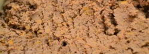 рулет из отварной печени с пикантной начинкой. Шаг 7