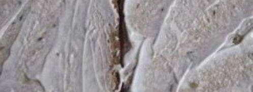 сэндвичи с яйцом. Шаг 2