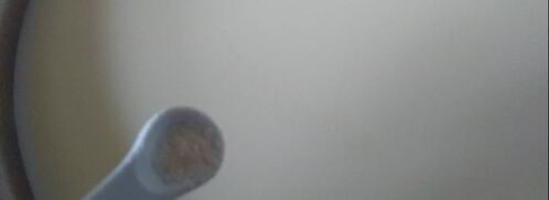 сыр фета из коровьего молока. Шаг 2