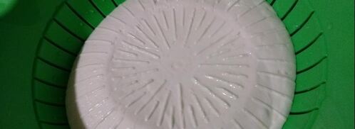 сыр фета из коровьего молока. Шаг 6