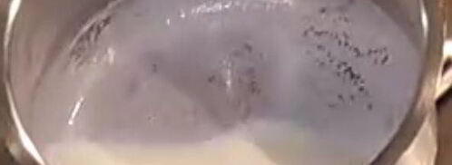 тарталетки с креветками и соусом бешамель. Шаг 6