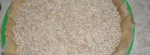 мандариновый тарт. Шаг 4