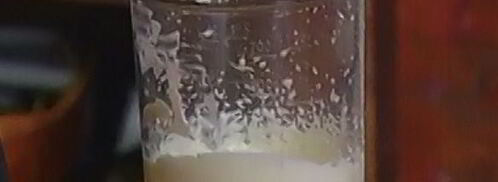 тарт с манго. Шаг 11