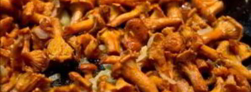 яичница с лисичками. Шаг 3