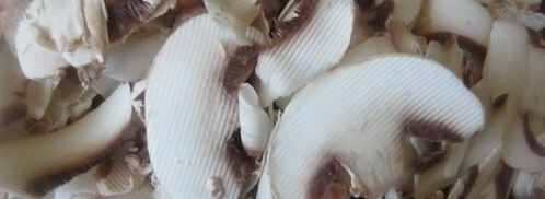 жюльен с курицей и грибами в булочке. Шаг 2